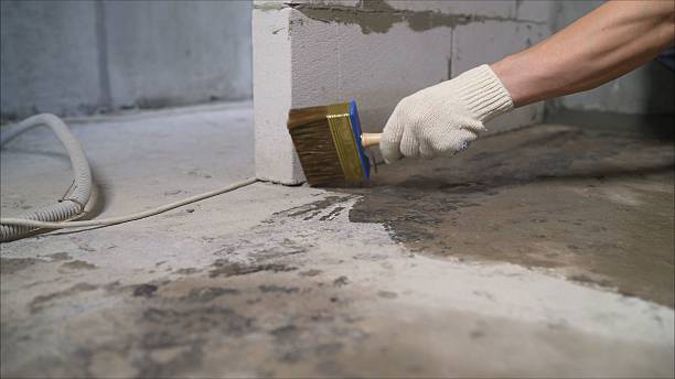 SJ Waterproofing Pros Waterproofing coverage map for Fruitport, MI and surrounding area